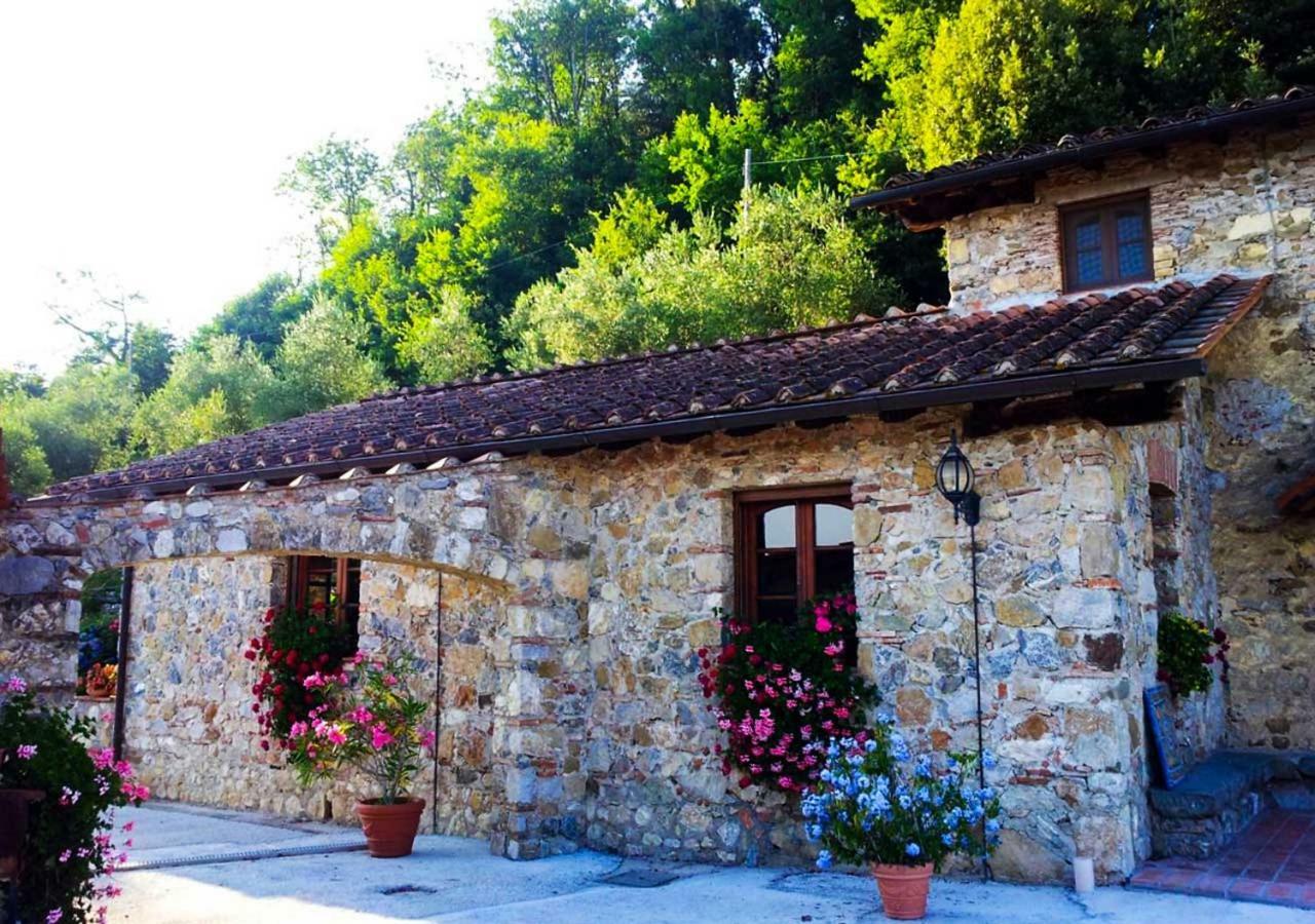 Villa Armonia Borgo a Mozzano Zewnętrze zdjęcie